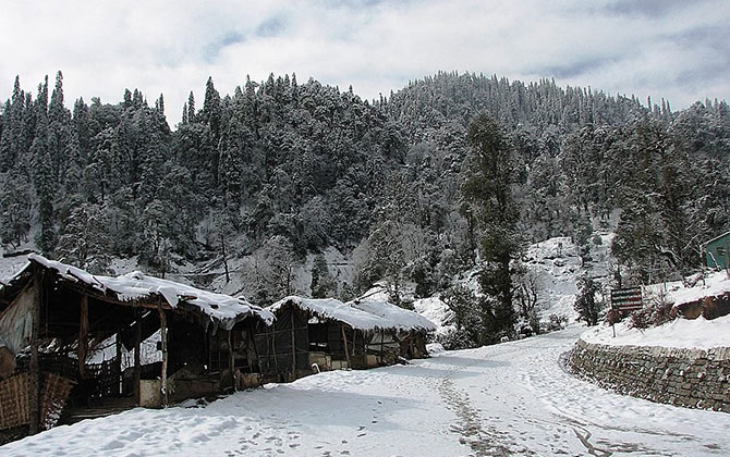Hotel Chopta Heavens